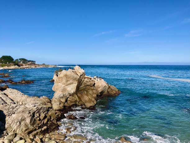 istock Monterey Bay, California 1910006513