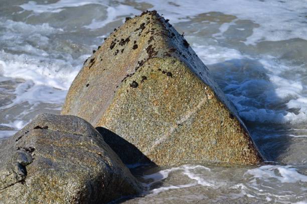 istock Monterey Bay, California 1910009652