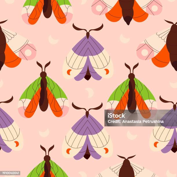 Moth Guide Vector Vector Flat Illustration Seamless Pattern Of Moths Pattern With Moths ...