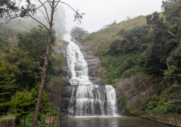 wodospad srebrnej kaskady, jeden z najpiękniejszych skarbów księżniczki stacji górskich, kodaikanal, tamil nadu - silver cascade falls zdjęcia i obrazy z banku zdjęć