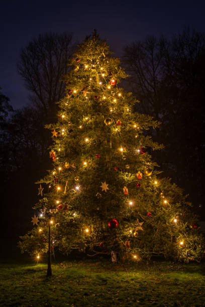 istock Large decorated and lit Christmas tree at night time 1910099148