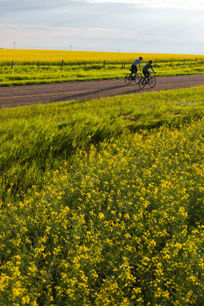 istock Gravel Bike Riding Side by Side 1910160959