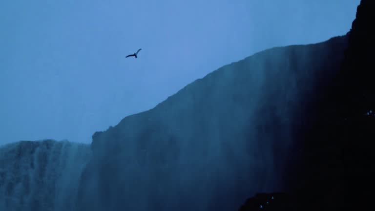 Skogafoss Waterfall, Iceland aerial view stock video