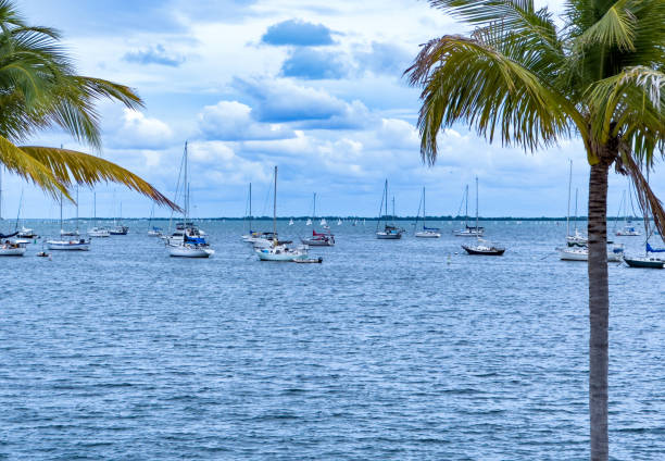 istock Sailboats on Biscayne Bay 1910170166