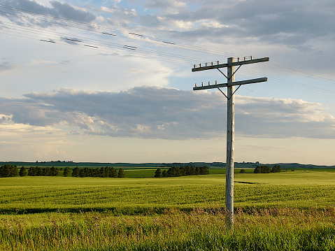 Old telephone pole in western North Dakota