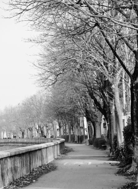 istock lake in black and white 1910258915