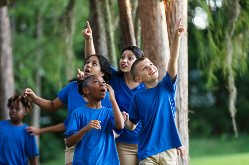 A multiracial group of five children and their camp counselor having fun at summer camp. The children, 10 to 12 years old, are walking in the woods, exploring nature. The focus is on the two children in front. The boy is pointing out something he sees to the African-American girl beside him. She is looking up in awe.