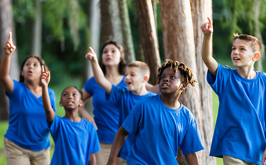 A multiracial group of five children and their camp counselor having fun at summer camp. The children, 10 to 12 years old, are walking in the woods, exploring nature. They are looking and pointing upward. The focus is on the African-American boy in front center, and his friend on the right.