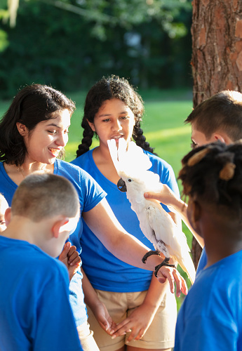 A multiracial group of five children and their camp counselor on a field trip to a park during summer camp. They are petting a cockatoo perched on the counselor's arm
