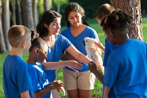 A multiracial group of five children and their camp counselor on a field trip to a park during summer camp. They are petting a cockatoo perched on the counselor's arm