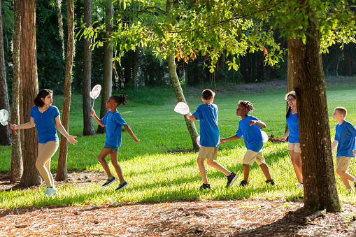 A multiracial group of five children and their camp counselor having fun at summer camp. They are walking in the woods exploring nature, carrying butterfly nets.