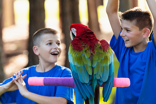 Two brothers standing outdoors playing with their pet parrot.