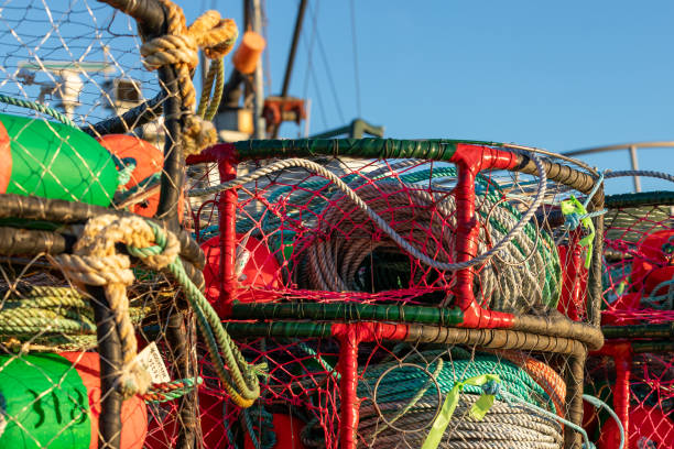 istock Crab Pots at Ilwaco Waterfront 1910281787