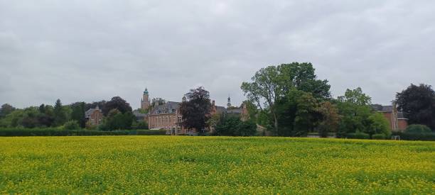 istock Golden Field and Historic Charm 1910300554