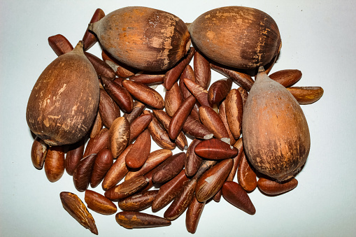 Shelled coconuts and almonds, from the babassu palm, Attalea speciosa, on a white surface