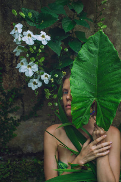 Free Stock Photo of A woman covering her face with a leaf | Download ...