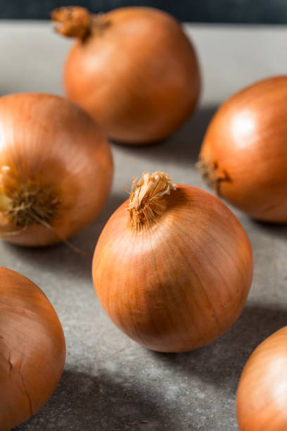 istock Organic Raw Brown Yellow Onions 1910324364