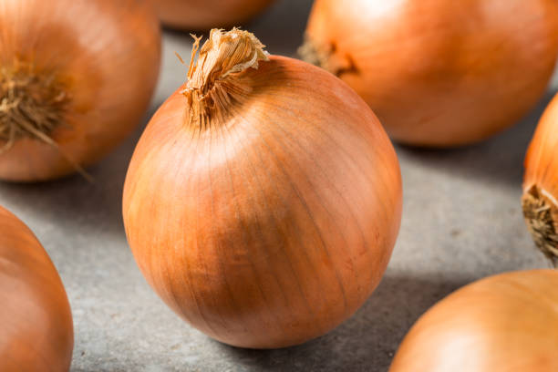 istock Organic Raw Brown Yellow Onions 1910324880