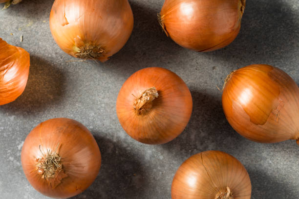 istock Organic Raw Brown Yellow Onions 1910325911