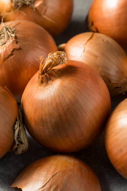 istock Organic Raw Brown Yellow Onions 1910327442