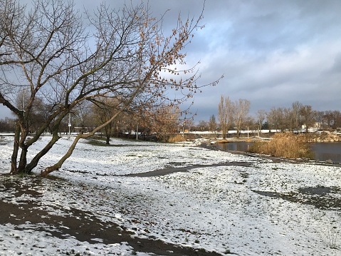 First snow in November in the park