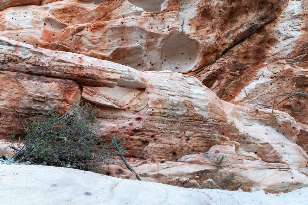 istock Grand Canyon/Nevada rock landscape 1910379519