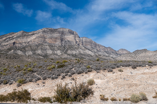 Nevada, desert, scenery, plants, trees, rocks, cliff, dry, arid climate.