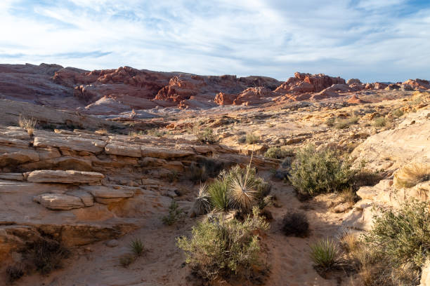 istock Grand Canyon/Nevada rock landscape 1910379809