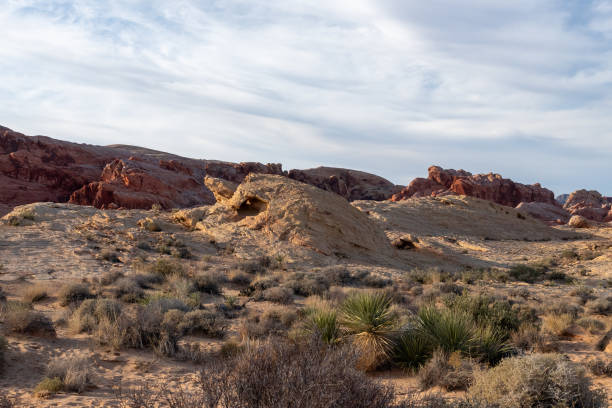 istock Grand Canyon/Nevada rock landscape 1910379828