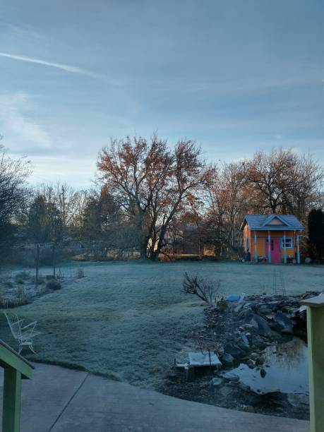 istock Frosty Morning in January 1910421674