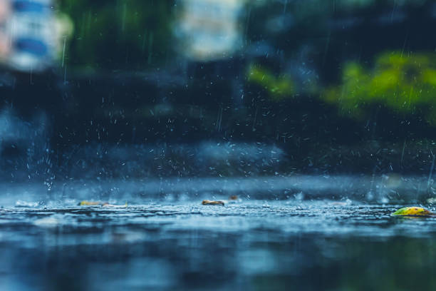 Rain falling on a lake in the forest