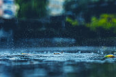 Raindrop falls in puddle. Rain. Splashes of water