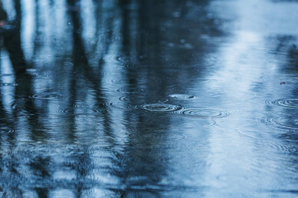 istock Wind on the water. Puddle. Water ripples 1910469632