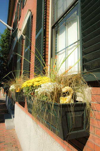 A window box offers a bit of nature for the brick structure.