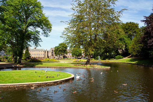 A picturesque image of Buxton Pavilion Gardens, a public park known for its lush greenery and beautifully landscaped Victorian gardens. Nestled in the heart of Buxton, this tranquil space offers a peaceful retreat and a glimpse into the town's rich historical and horticultural heritage.