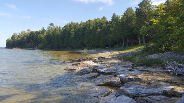 istock Forests of North America 1910559603