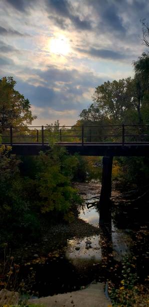 istock Forests of North America 1910562723