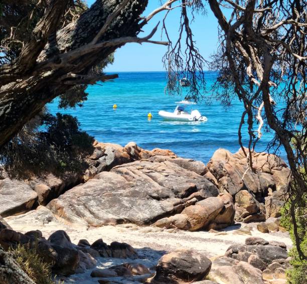 istock Boats at Dunsborough 1910579736