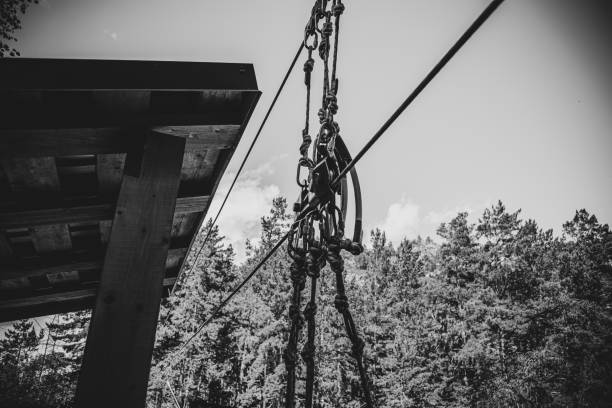 Smiling boy in safety gear stands on a balance beam in a forest adventure park, surrounded by tall trees.