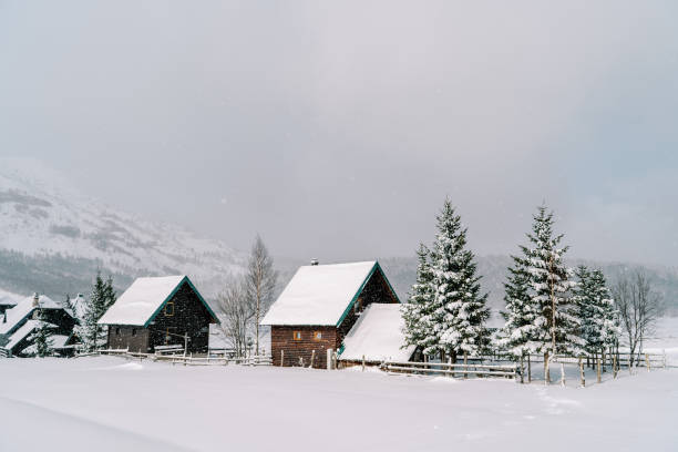 istock Snow-covered village surrounded by fir trees in a mountain valley under snowfall 1910660113
