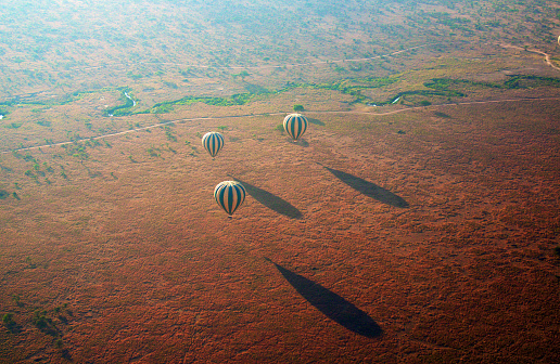 Hot Air Balloons over the Serengeti at sunrise