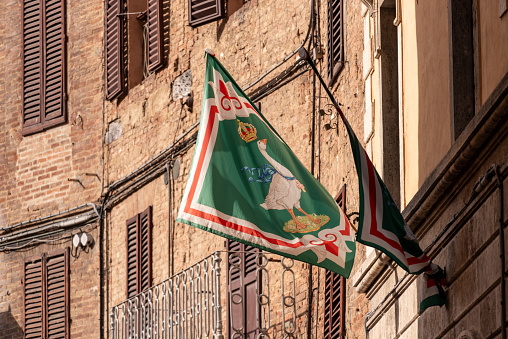 Contrade flags of the Oca-Goose city district hanging in a street in downtown Siena, Italy
