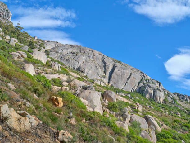 boulders and wilderness - and blue sky with clouds - straggling 뉴스 사진 이미지