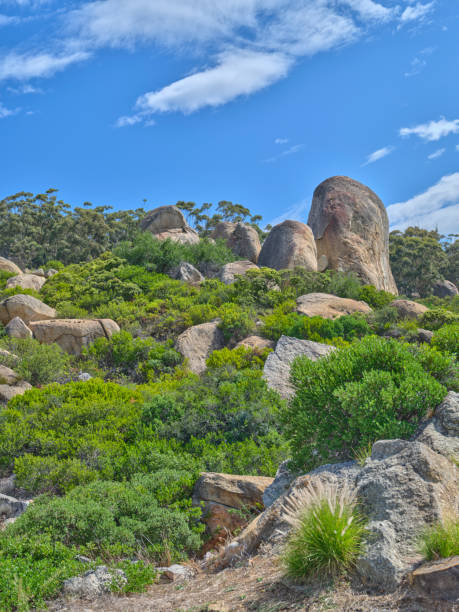 boulders and wilderness - and blue sky with clouds - straggling 뉴스 사진 이미지