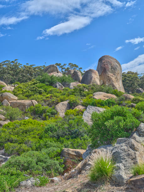 boulders and wilderness - and blue sky with clouds - straggling imagens e fotografias de stock