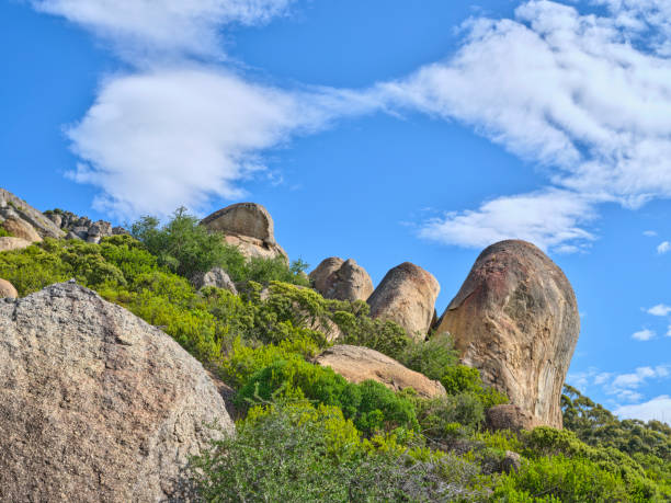 boulders and wilderness - and blue sky with clouds - straggling 뉴스 사진 이미지