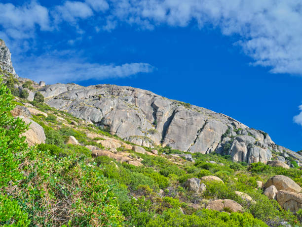 boulders and wilderness - and blue sky with clouds - straggling 뉴스 사진 이미지