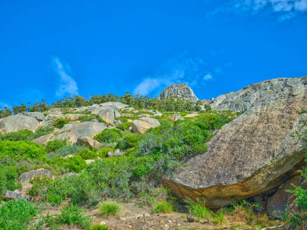 boulders and wilderness - and blue sky with clouds - straggling 뉴스 사진 이미지