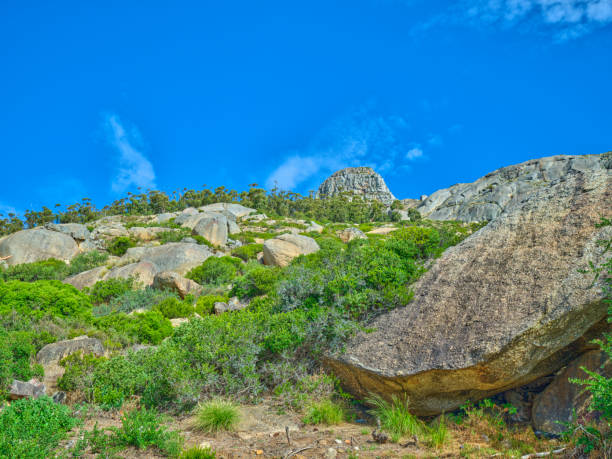 boulders and wilderness - and blue sky with clouds - straggling стоковые фото и изображения