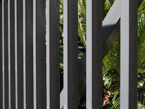 Side view of a metal fence with plants beyond.